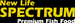 NLspectrum_logo75p03