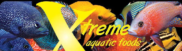 Xtreme-logo